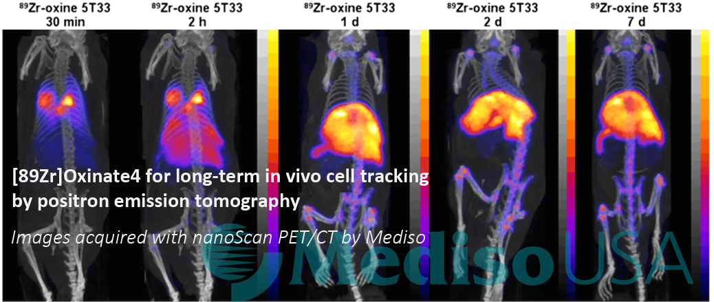 Personalised cellular therapies will benefit from a sensitive PET cell tracking agent