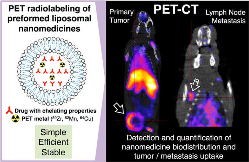 Positron Emission Tomography (PET) Imaging as a treatment prediction tool for personalized nanomedicine