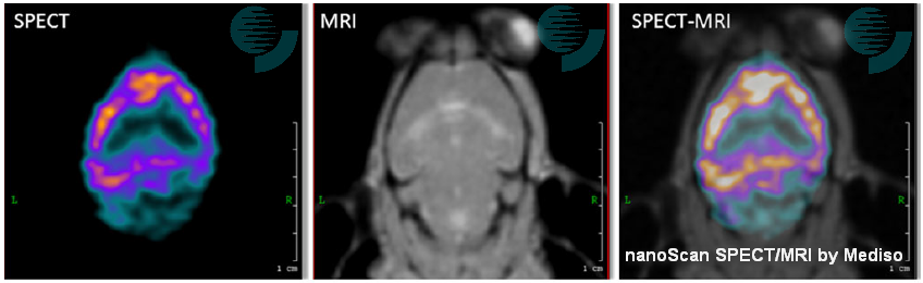 Preclinical Imaging: an Essential Ally in Modern Biosciences