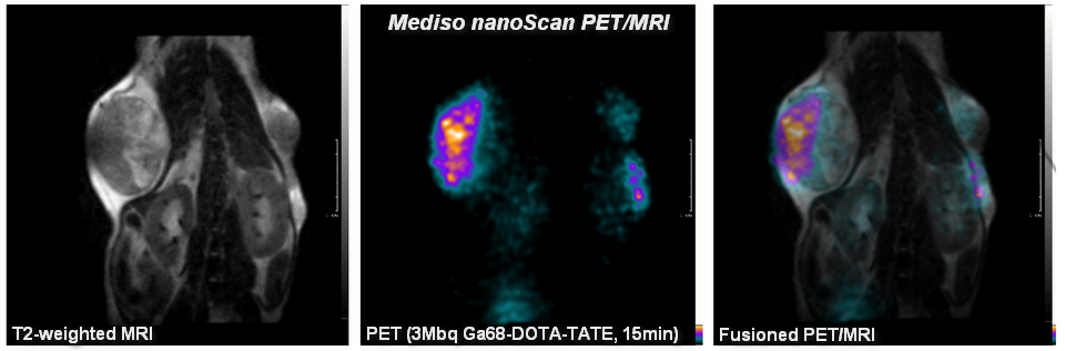 GenEngNews: Raising the Bar in Preclinical Imaging